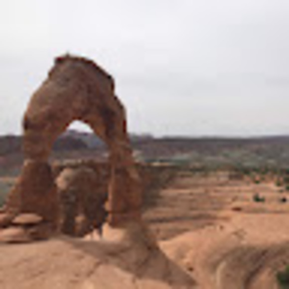 Meet your Posher, Mandy - Picture 1 of 1